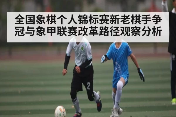 全国象棋个人锦标赛新老棋手争冠与象甲联赛改革路径观察分析